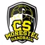 CS MORESTEL HANDBALL